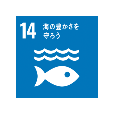 海の豊さを守ろう／SDGs