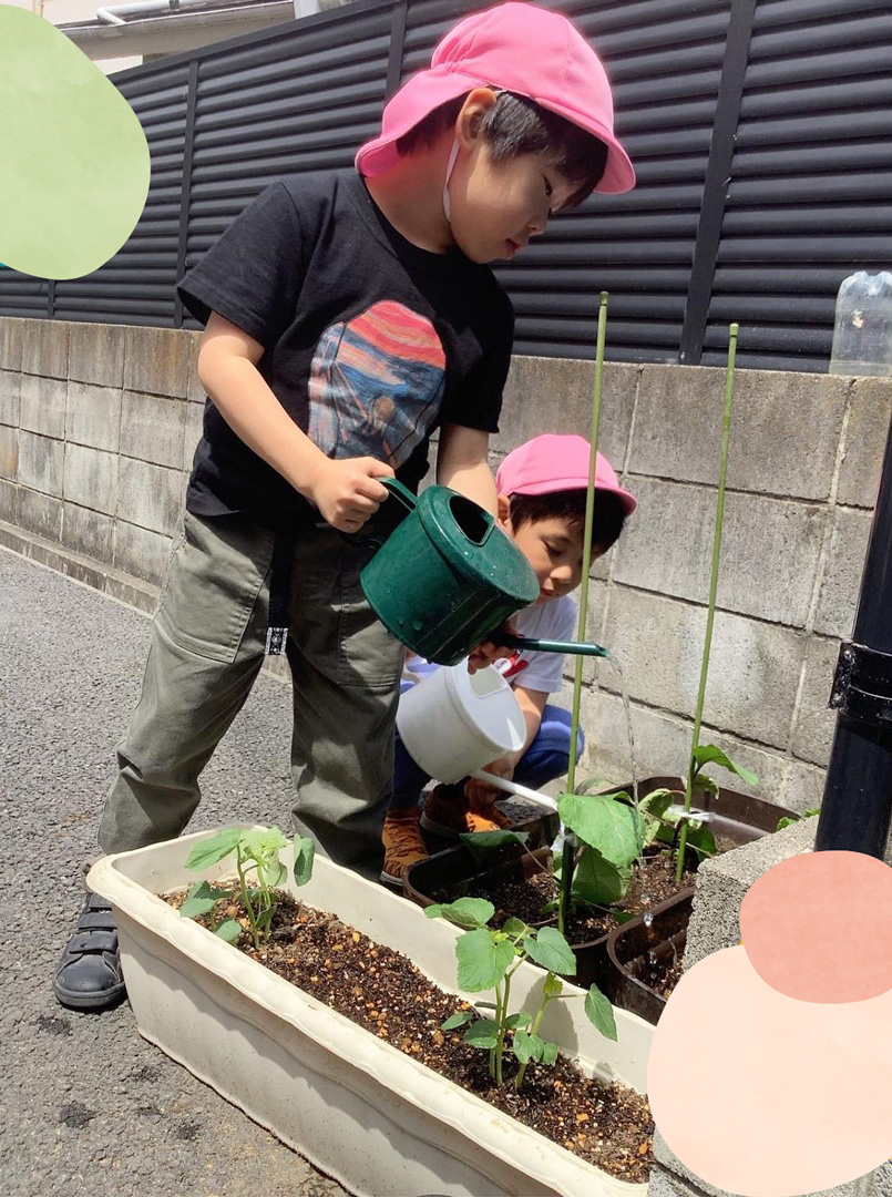 あいみー高津保育園 3・4・5歳児　苗植え・種まきの画像
