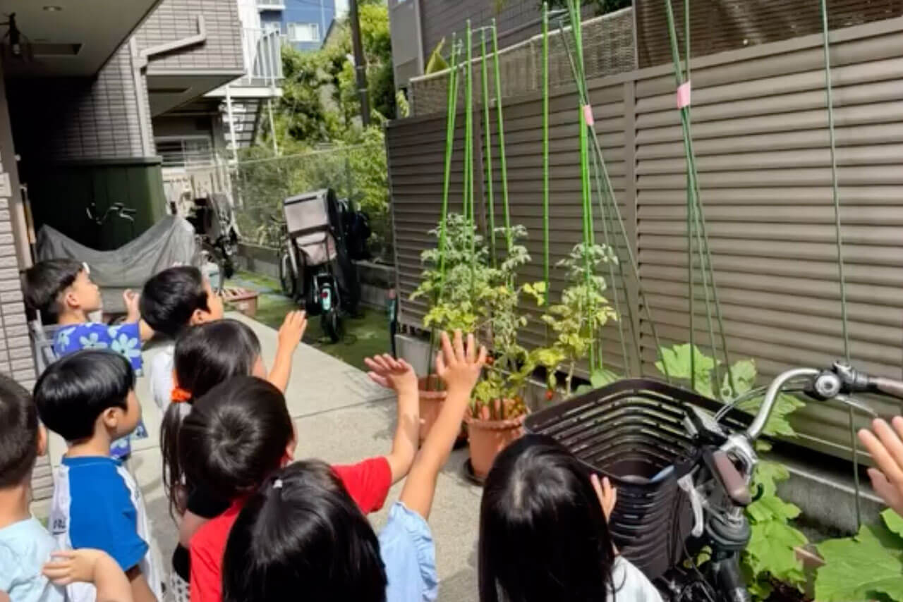 あいみー平間保育園 蝶々の旅立ち