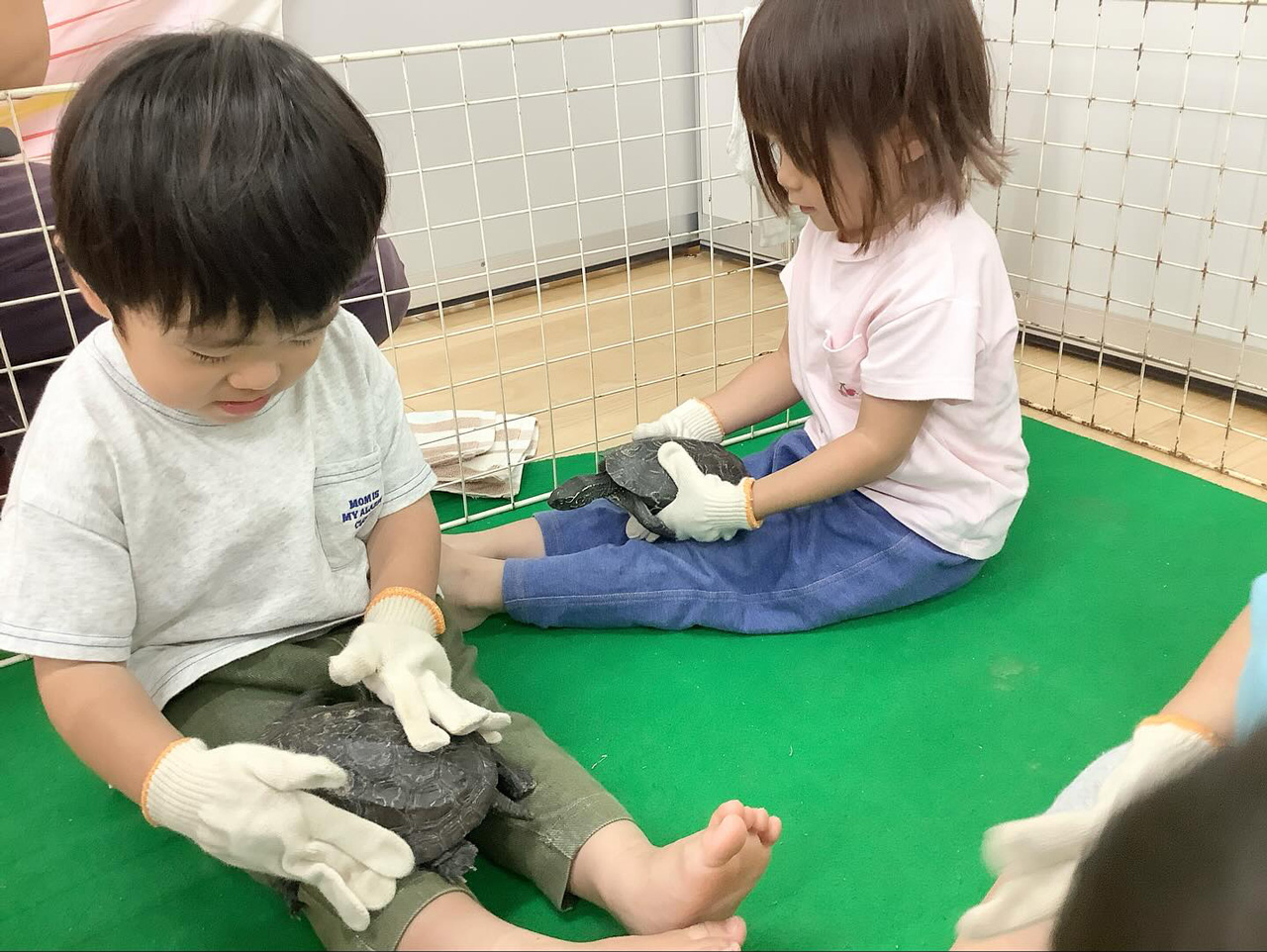 あいみー梶ヶ谷保育園 移動水族館