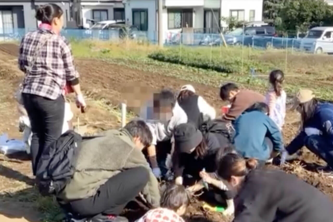 あいみーBelle新梶ヶ谷保育園 秋の芋掘り体験