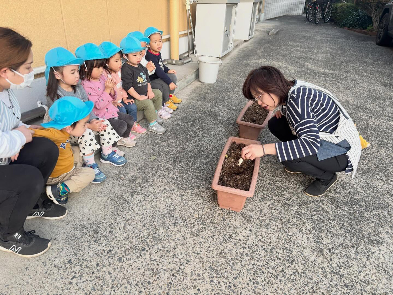 あいみー梶ヶ谷保育園 チューリップが咲いたよ