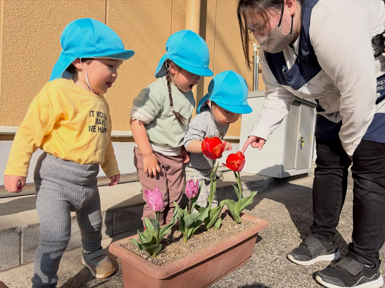 あいみー梶ヶ谷保育園 チューリップが咲いたよ