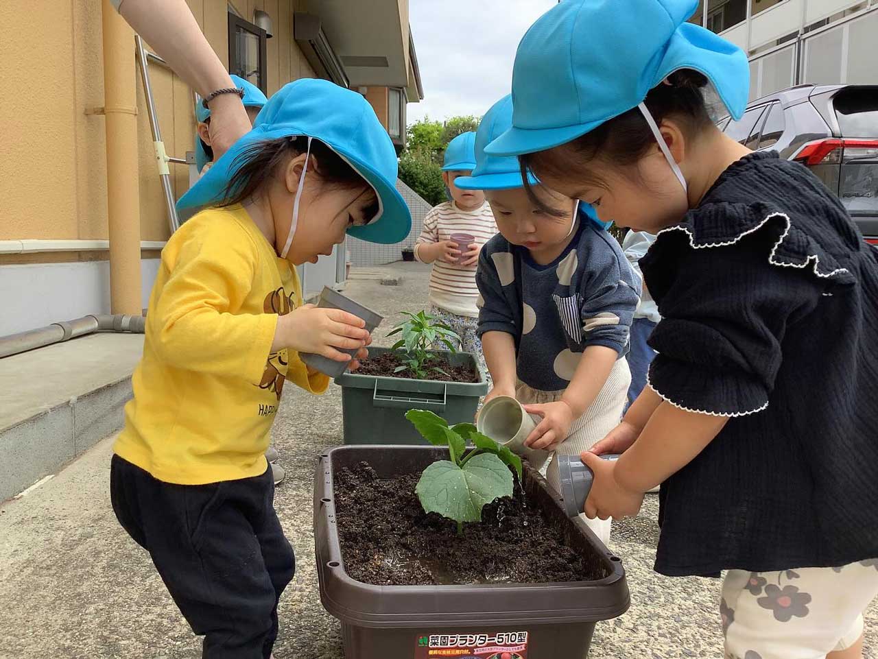 あいみー梶ヶ谷保育園 食育