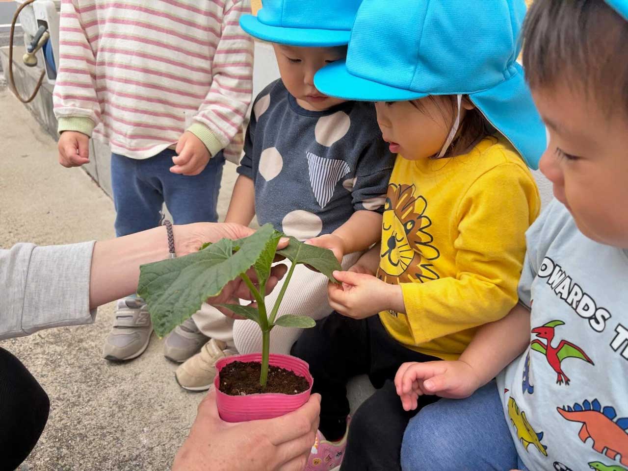 あいみー梶ヶ谷保育園 食育