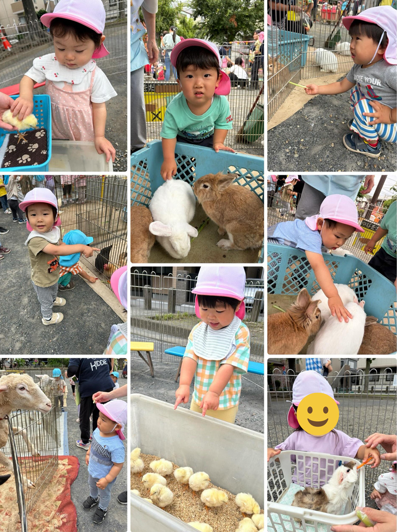 あいみーBelle鹿島田保育園 移動動物園へ