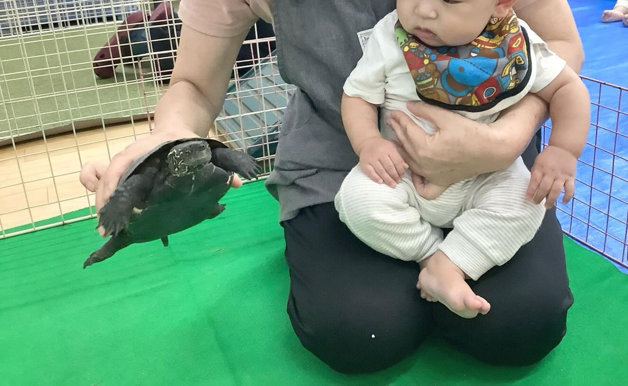 あいみー梶ヶ谷保育園 移動水族館