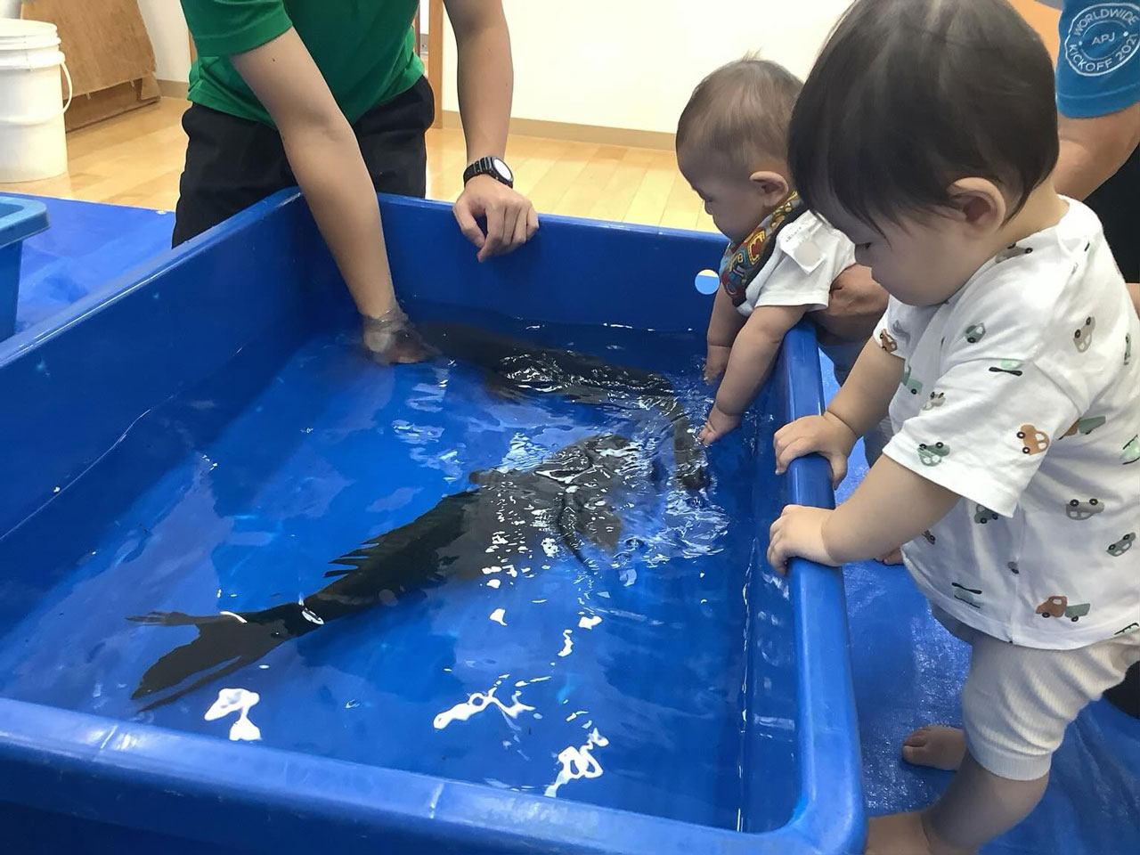 あいみー梶ヶ谷保育園 移動水族館