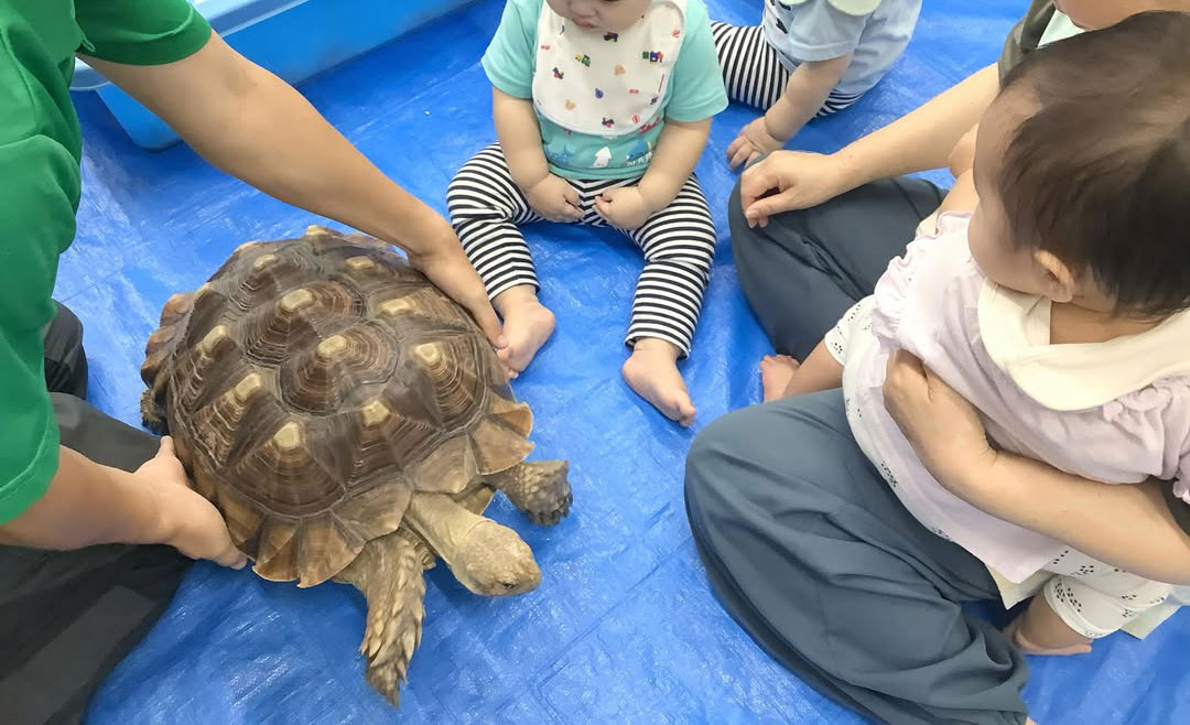 あいみー梶ヶ谷保育園 移動水族館