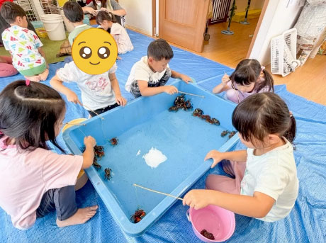 あいみー南加瀬保育園 移動水族館