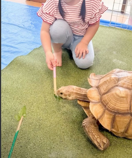 あいみー南加瀬保育園 移動水族館