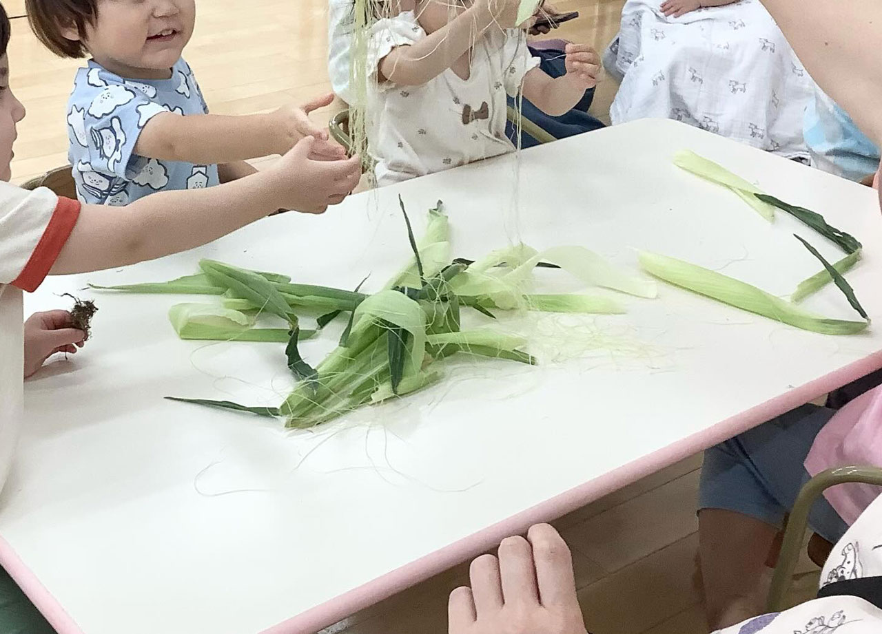 あいみー梶ヶ谷保育園 とうもろこし皮むき