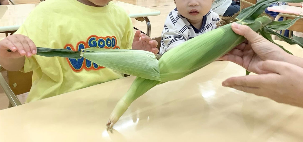 あいみー梶ヶ谷保育園 とうもろこし皮むき