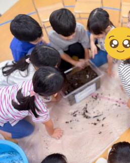 あいみー南加瀬保育園 カブトムシの幼虫がうまれました