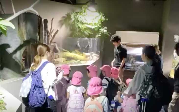 あいみー高津保育園 カワスイ水族館遠足