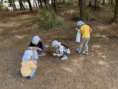 あいみー南加瀬保育園 秋の自然を探しに行きました